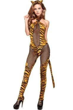 Fishnet Kitty Cat Costume