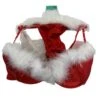 Christmas Bra Set
