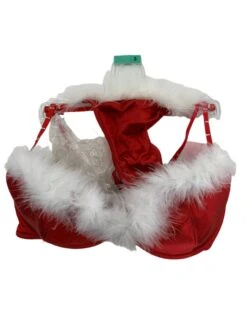 Christmas Bra Set