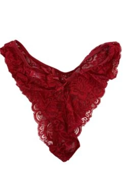 Plus Size Lace Panties
