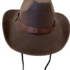 Cowboy Hat