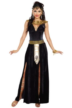 Dreamgirl Exquisite Cleopatra Costume 7 Dreamgirl Exquisite Cleopatra Costume -3 Wish Sexy Shop D10290 Costume Front 93086 81350678 aa08 47dc ac51 2ed9ea65f24d