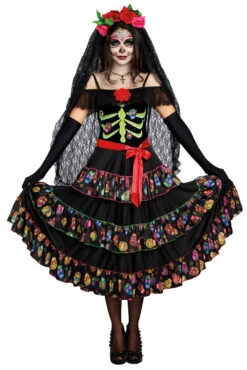 Dreamgirl Lady Of The Dead Costume