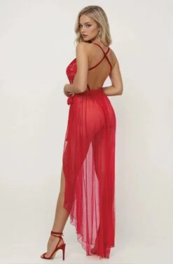 Dreamgirl Lace Teddy And Overskirt -3 Wish Sexy Shop D10996 Rouge Back 89031