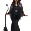 Dreamgirl Plus Size Bewitching Beauty Costume