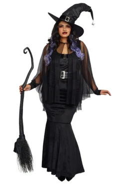 Dreamgirl Plus Size Bewitching Beauty Costume -3 Wish Sexy Shop D11151X Costume front 28629 0bb00b49 a1c3 431e 9f70 e53464577916