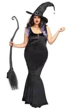 Dreamgirl Plus Size Bewitching Beauty Costume -3 Wish Sexy Shop D11151X Costume inset 04774