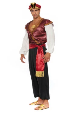 Dreamgirl Men's Sultan Halloween Costume -3 Wish Sexy Shop DG12961 as shown Front 2