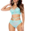 Pale Blue Eyelash Lace Bra Set