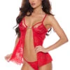 Plus Size Red All Lace Babydoll