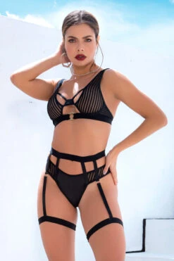 Striped Mesh Bra And Garter Panty -3 Wish Sexy Shop EP2639 Black Front 41427 f8a2fa1d ca2f 4af5 99dc d7453762ac05