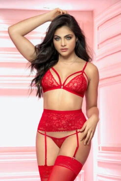 Racy Red Cage Bra And Garter Set -3 Wish Sexy Shop EP8561 Red Front2 34537