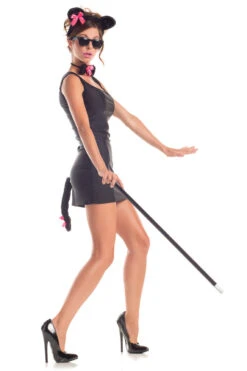 Blind Mouse Costume Kit