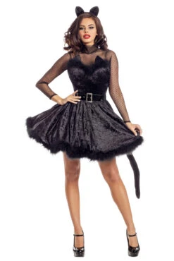 Classy Kitty Costume 5 Classy Kitty Costume -3 Wish Sexy Shop PK2014 Front 1 03054 b6e7723c c772 4460 adc3 5a0708a704db