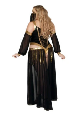 Plus Size Dark Harem Nights Costume -3 Wish Sexy Shop SAS2340X as shown back 1