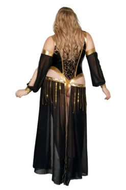 Plus Size Dark Harem Nights Costume -3 Wish Sexy Shop SAS2340X as shown back 2