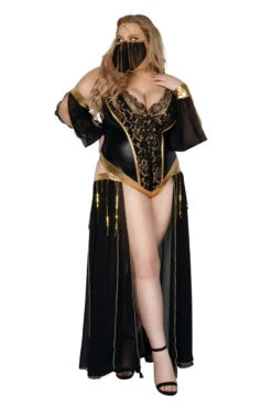 Plus Size Dark Harem Nights Costume -3 Wish Sexy Shop SAS2340X as shown front 3