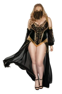 Plus Size Dark Harem Nights Costume -3 Wish Sexy Shop SAS2340X as shown front 4