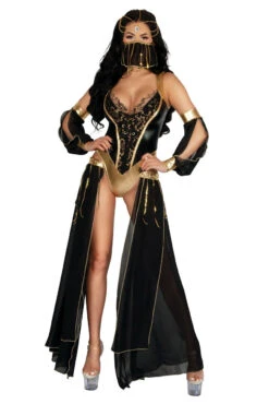 Dark Harem Nights Costume