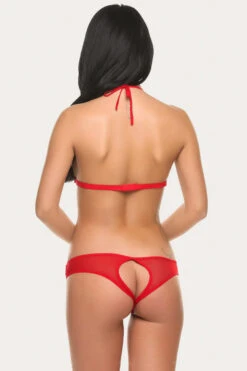 Lace And Mesh Open Side Teddy -3 Wish Sexy Shop SI Q LH098 red back