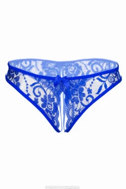 Open Crotch Lace Panty 11 Open Crotch Lace Panty -3 Wish Sexy Shop SI Q NP29 blue front