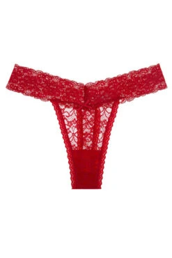 Plus Size Floral Lace Band Thong 9 Plus Size Floral Lace Band Thong -3 Wish Sexy Shop SI Q NP45 red front d06723f7 16fb 471c bc90 f0868e3bddbf