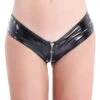 Vinyl Zipper Panty