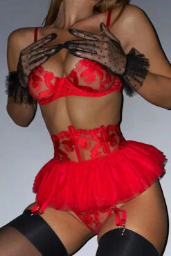 Floral Mesh Ballerina Bra Set -3 Wish Sexy Shop SI Q R1130A red front 3