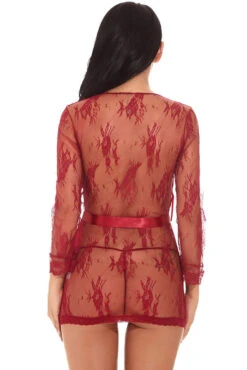 Delicate Lace Short Robe 17 Delicate Lace Short Robe -3 Wish Sexy Shop SI Q VD013 red back