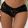 Plus Size Floral Lace Cheeky Panty