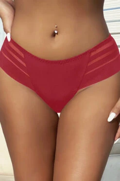 Plus Size Stripe Mesh Bikini Panty -3 Wish Sexy Shop SIP5207 3 red front