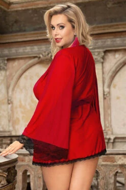 Plus Size Mesh Two Tone Robe -3 Wish Sexy Shop SIR80947 3P red back 2