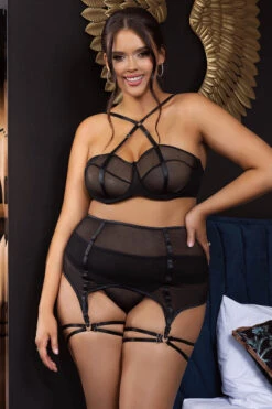 Plus Size Mesh Cage Bra And Garter Belt Set