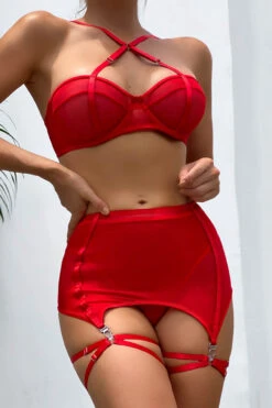 Mesh Cage Bra And Garter Belt Set -3 Wish Sexy Shop SIR81183 2 red front 6