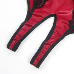 Burgundy Faux Leather Teddy Lingerie -3 Wish Sexy Shop SIR81266 10