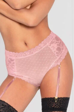 Lace And Dotted Mesh High Waisted Garter Panty -3 Wish Sexy Shop ST11142 BLUSH Front