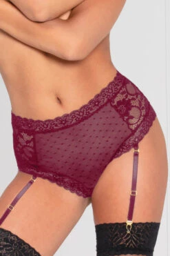 Lace And Dotted Mesh High Waisted Garter Panty -3 Wish Sexy Shop ST11142 WINE Front
