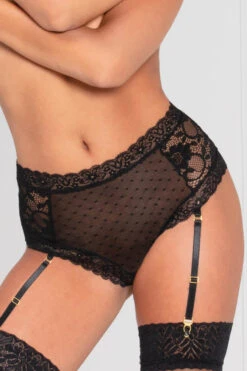 Lace And Dotted Mesh High Waisted Garter Panty