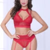 Red Lace Harness Bra And Garter Set