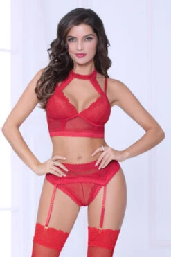 Red Lace Harness Bra And Garter Set