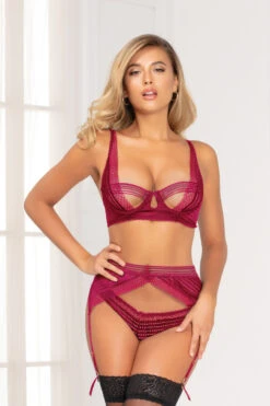 Retro Bra, Garter And Panty Set -3 Wish Sexy Shop STM11120 WINE F 76560