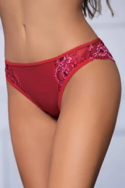 Scalloped Lace Back Panty 22 Scalloped Lace Back Panty -3 Wish Sexy Shop STM11228 RED F2 22809
