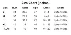 AMSCAN Dragon Fighter Costume -3 Wish Sexy Shop Size Chart AMSCAN S PLUS 72556