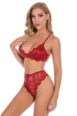 Lucky Lace Demi Bra And Panty -3 Wish Sexy Shop W5212 Wine Red Front 2