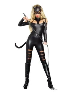 Dreamgirl Cat Fight Costume