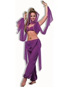 Forum Novelties Desert Princess Costume