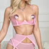 Baby Pink Mesh Bra Set