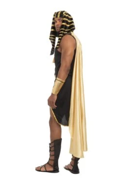 Dreamgirl King Of Egypt Costume -3 Wish Sexy Shop dreamgirl king of egypt mens costume dreamgirl 255126