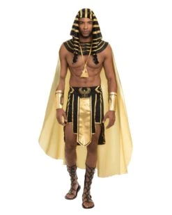 Dreamgirl King Of Egypt Costume