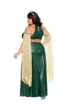 Dreamgirl Plus Size Mistress Medusa Costume -3 Wish Sexy Shop dreamgirl plus size mistress medusa womens costume dreamgirl 496093